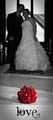 Helen du Plessis Wedding Photography image 2