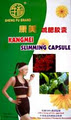 Kangmei Slimming Tablets S/West image 1