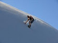 Ladybird Sandboarding image 2