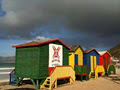 Learn 2 Surf - Cape Town (Muizenberg Beach) image 4