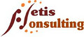 Netis Consulting logo