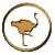 Ostrich Emporium South Africa Cc logo
