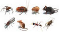Pest Control Technologies cc logo