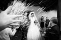 PhotoNix Wedding Photographer image 3