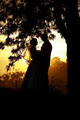 PhotoNix Wedding Photographer logo
