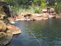 Pool and Pond Limpopo image 3