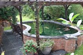 Pool and Pond Limpopo image 5