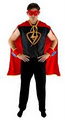 Superhero Security image 1