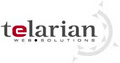 Telarian Web Solutions logo