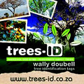Trees-ID logo