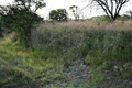 Zebra's Nest Eco Estate image 5