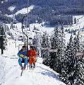 skiAustria Tours ( Admin office ) image 2