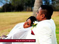 My Wedding Video image 2