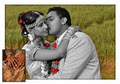 weddingandplanner.com image 2